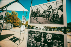 sziget2026-12
