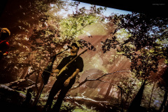 the_rose-17