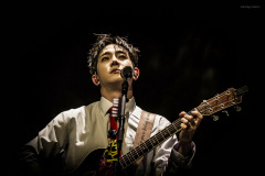 the_rose-2