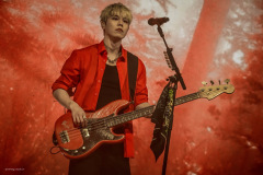 the_rose-33