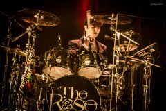the_rose-34