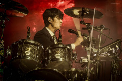 the_rose-4