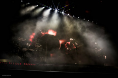 the_rose-44
