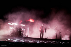 the_rose-45