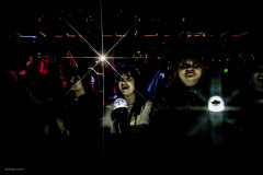 the_rose-46