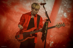 the_rose-55