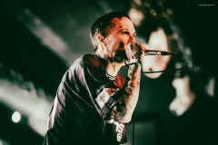southern_oracle-27