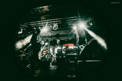 southern_oracle-58
