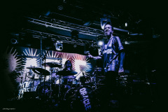 southern_oracle-63