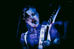 virginmarys-110