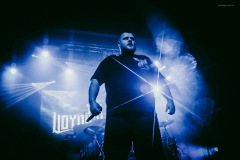 voynich-2