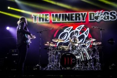 winery-112