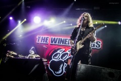 winery-117