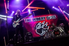 winery-50