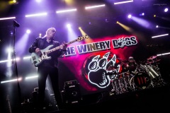 winery-51
