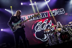 winery-60