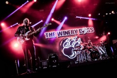 winery-80