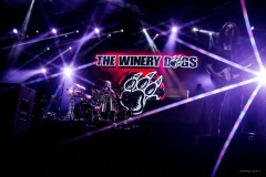 winery-91
