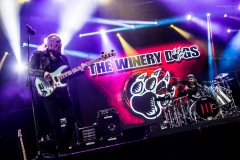 winery-97