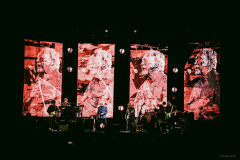 tomjones-15