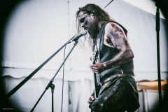 varg-12