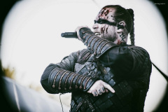 varg-14