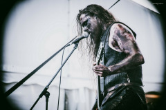 varg-15