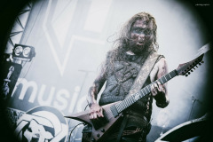 varg-17