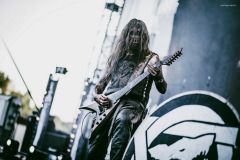 varg-19