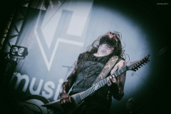 varg-35