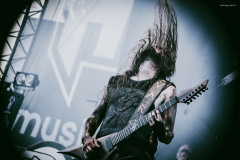 varg-5