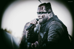 varg-7