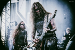 varg-8