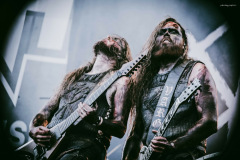 varg-9