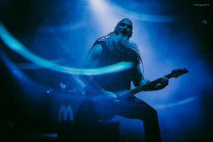 venom-11