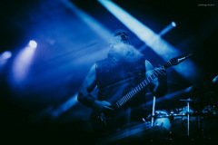 venom-114