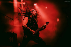 venom-16
