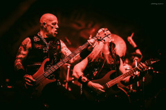venom-40