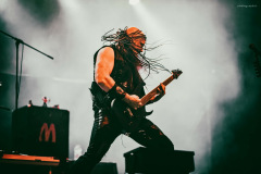venom-50