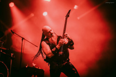 venom-60