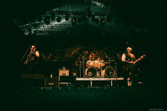 venom-70
