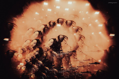 venom-80