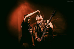 venom-85