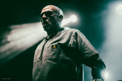 violence-4