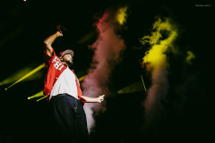 willsmith-88