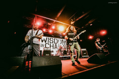 wisdom-27
