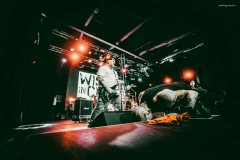 wisdom-88