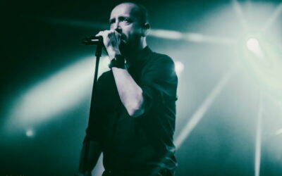 Paradise Lost – Dürer Kert 2025.11.01.