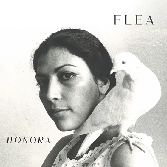 Flea – Honora